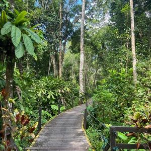 Meet your Posher, Ellie